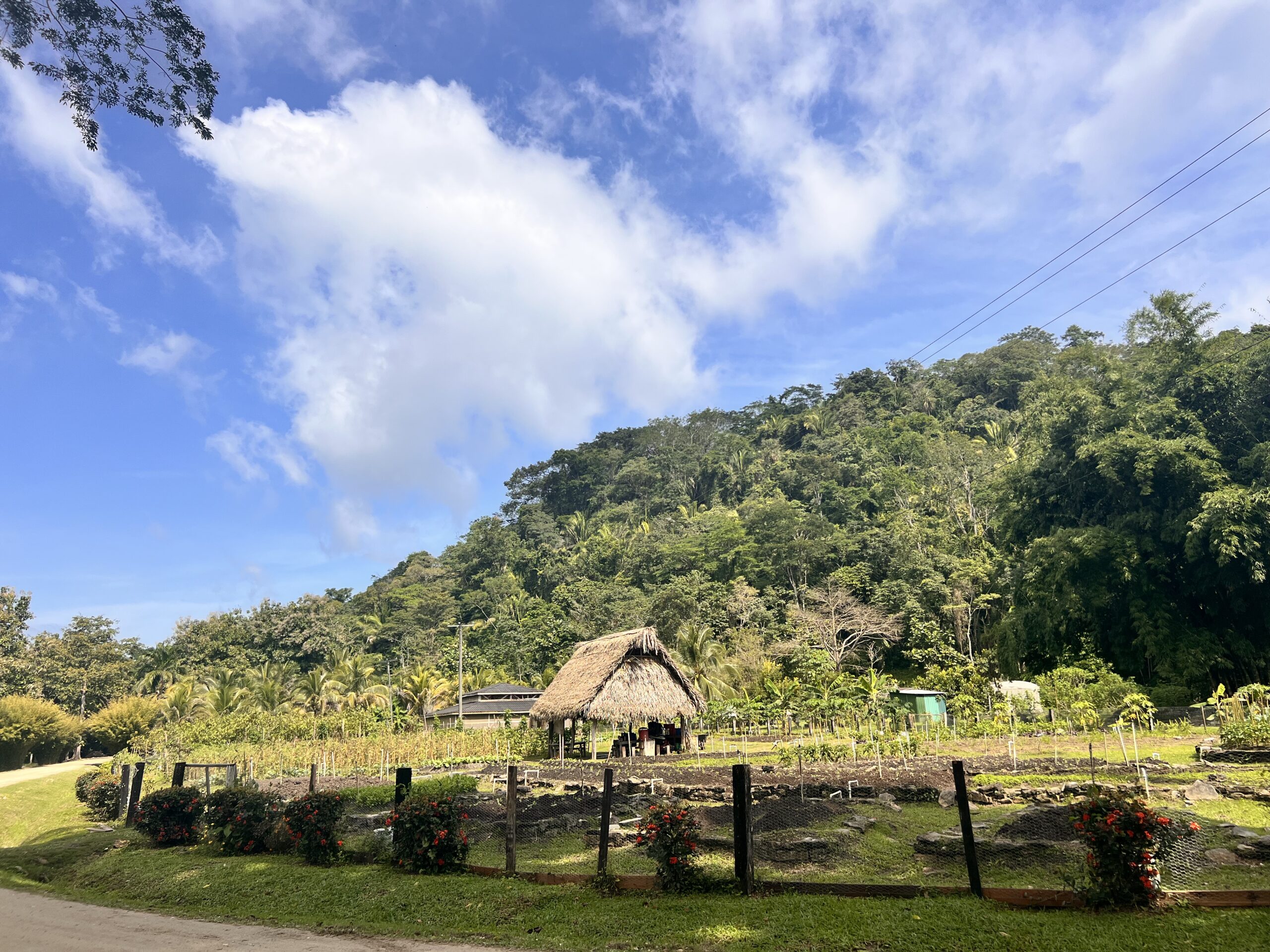 Retreat Experience